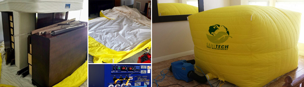 Bedbugs Treatments